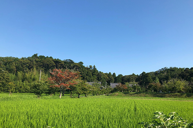 普賢寺近辺の画像